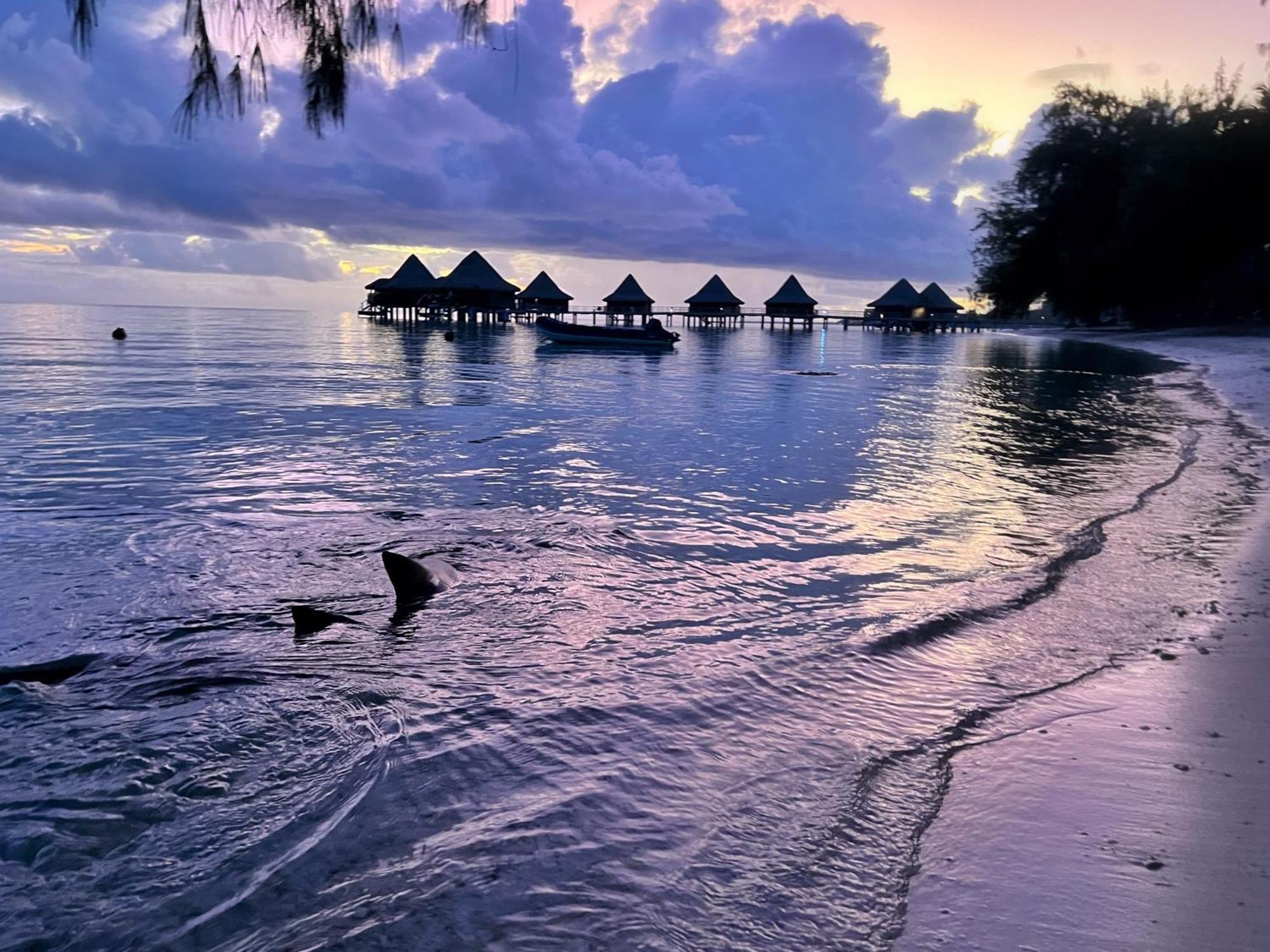 Hinamoe Lodge Avatoru Buitenkant foto